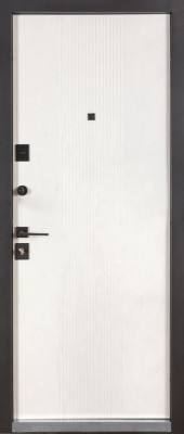 251